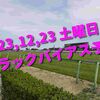 2023,12,23 土曜日 トラックバイアス予想 (中山競馬場、阪神競馬場)