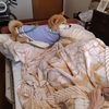 お別れの準備