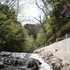 山梨百名山 〜黒川鶏冠山(1716m)〜