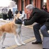 【ＮＨＫＢＳ１】HACHI 約束の犬