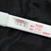 フライング検査 (4w1d相当)