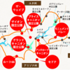【旅行】グランドサークル周遊３泊４日の旅〜前編〜