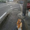 三連休の二日目は静岡の伊豆長岡へ。