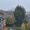 １１月に雪　気になるタイルのここ…