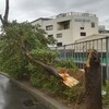 猛烈台風到来！！”低気圧で体調不良”をちょっとだけ科学的に考察してみた