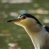 大きな池のある公園へ　その２