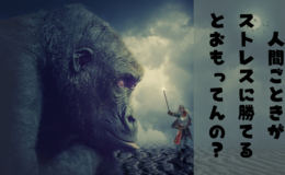 記事を見る