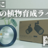 【超おしゃれ】おすすめ！植物育成ライト「HADES（ハデス）LED」レビュー！BARREL（バレル）最強LED！ライティングレール（ダクトレール）に取り付けてインテリアに差を付けよう！観葉植物｜ビカクシダ｜アガベ｜塊根植物｜エアプランツ｜アクアリウム