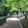 花の宴と遣隋使。河内長野市の旅