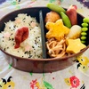 6月9日〜13日お弁当