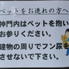 神社ではマナーを守って参拝したいものです