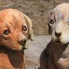 子犬たち