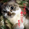 どうやって母に紙パンツを穿かせようかな