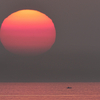 2024年3月後半の朝の風景