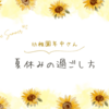 幼稚園年中さん🌻夏休みの過ごし方👦🏻☀️