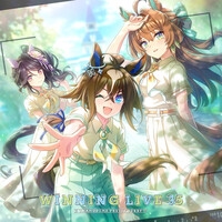 ウマ娘「確信的⇔Supernova」歌詞意味解釈 — 大器晩成の名馬が紡ぐ、確信の先にある輝き