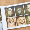 大量にあった愛犬写真を一冊のアルバムにしました