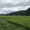 海の里 山の里