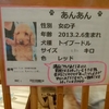 保護犬カフェ堺店　2021.1.29