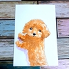 水彩画723枚目｢見つめてくるトイプードルさん｣