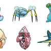 【VGC2017】第13回あいオフ(PT:波乗りトリパ)