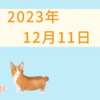 【2023/12/11】日経平均は３日ぶり大幅反発も上値重く円安頼みには危機感