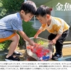 2025年8月5日 金魚係