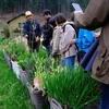 【無料公開用】自然菜園スクール『自然菜園見学コース』4/21（日）春の自然菜園見学ツアー　テーマ「菜園プラン」