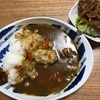 パパカレー🍛