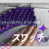 【atelier hagire】【スワッチコレクション】【編み図と編み方動画】たったこれだけでできる模様の世界／アイルランドのブラックベリー模様