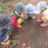 文理台公園での今日の出会い