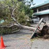 台風後に気を付けたい事。危険は台風後にもあります、注意しましょう。