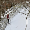 冬終る奥物部の森遊山　冬日