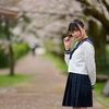桜花爛漫  惜しむ春❣️ なるはちゃん その19 ─ リクエスト撮影 2024.4.11 松川周辺 ─