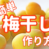 手作り【梅干し】レシピ 初めてでも簡単 失敗しにくい作り方