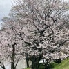 雨上がりの空♪( ´▽｀)