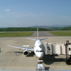 トリトンブルーのイルカは空の夢を見る