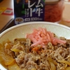 在宅勤務時の定番「すき家」の牛丼（中盛）