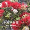 2024年6月の自転車走行距離（2024/6/30）