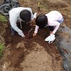 ２７０．長女の芋ほり遠足