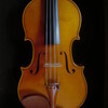 die Geige（ヴァイオリン）
