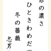 赤の濃さひときわめだつ冬の薔薇