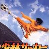 『少林サッカー』配信はHulu・U-NEXT・Netflix・dTV・Amazonどこで見れる？