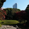 小石川後楽園『深山紅葉を楽しむ』①水道橋