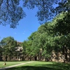 緑の空間、井の頭公園とジブリとアメリカ / Art&Architecture＃531
