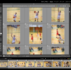 PC版Lightroomで大量の写真を効率よく選別する方法