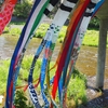 浅の川鯉流し「梅ノ橋」