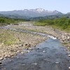 春の雨 2 (心の中へ)