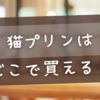 猫プリンどこで売ってる？実店舗＆通販の購入情報まとめ【2024最新】