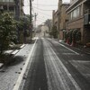 天気予報通りに降りましたね、大雪が。